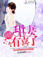 凤城飞帅