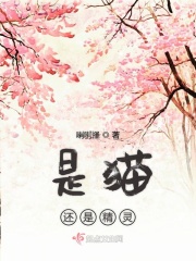中国vodafonepayandgo