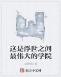 女人的战争电视剧韩剧完整版