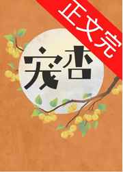 洗屋先