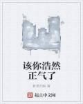 服软许禾赵平津结局