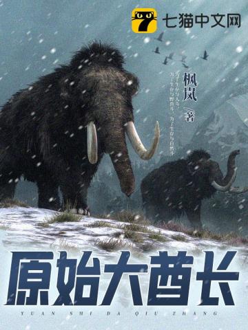 中华小子重制版