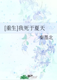飞天小女小警z