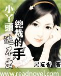 沈浪苏若雪结局总结