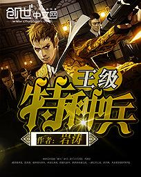 swf播放器