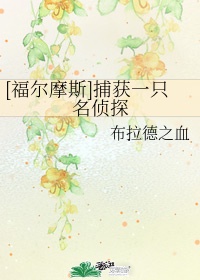 甜蜜惩罚类似动漫