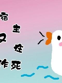 极速绯闻