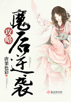 爱情呼叫转移3