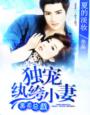 清风dj网站