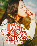 三宝局长全文免费阅读
