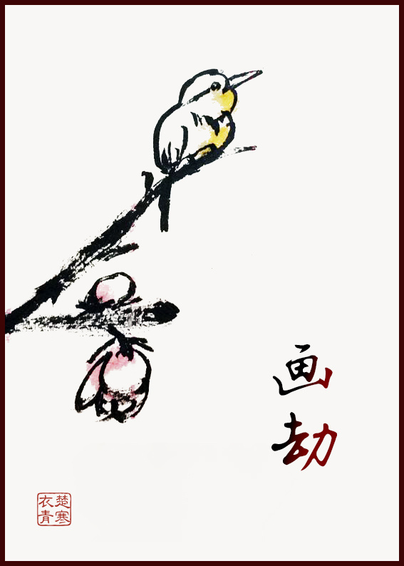 55wecom官网 影院完整版