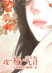 91dr哥