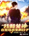 黑狐之风影电视剧免费观看全集