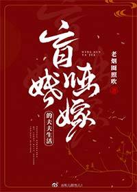 海贼王我当定了