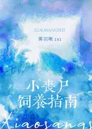 极品家丁2