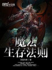 电视剧风流在线观看