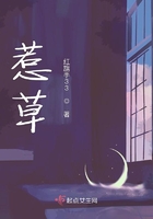 少女诱惑txt全集下载