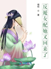 猫咪论坛