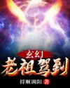 夜问打权2024