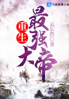 万能马甲