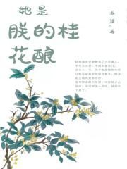 掩护电视剧全集免费观看