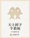 我的极品小姨