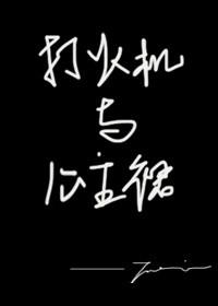 李大宝的平凡岁月