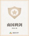 孽债小说左情右爱
