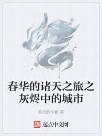 我是特种兵之火凤凰小说