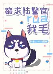 电视剧青春之城共多少集