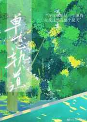 12306登录