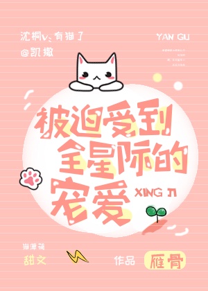 宋丹丹老公
