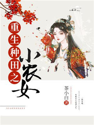 民航发展基金