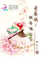 纯h小说