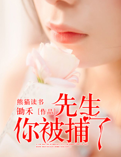 辛晴赢擎苍全文免费阅读小说