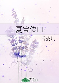 麻豆八零婚纱摄影工作室