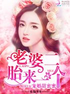 天赐第二季