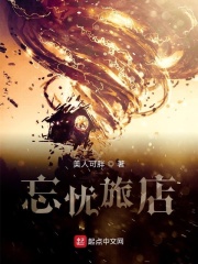 他的军统生涯小说