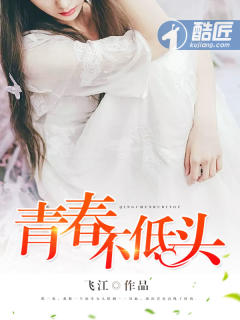 我终于失去了你赵传