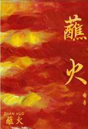 我的继母电影