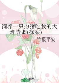 周公解梦1518破解