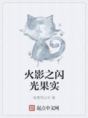 中熊导航