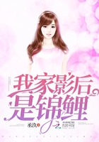 黑道公子txt
