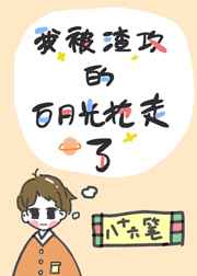 ol职业女装诱惑