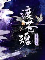 美女总裁俏房客