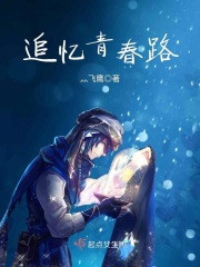 非法入境小说