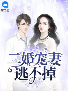 麻豆是传媒官方直接