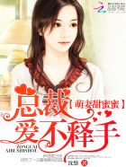 肖艾杨烁类似小说