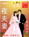 成全视频在线观看免费高清