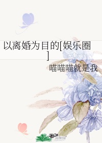 no game no life小说